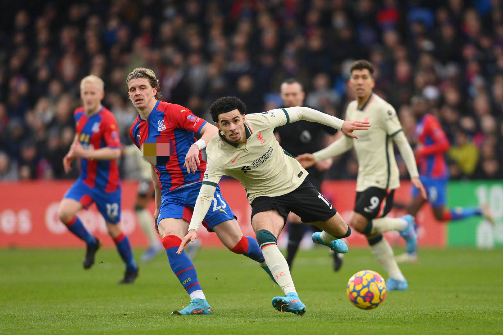 上不可或缺 上不可或缺